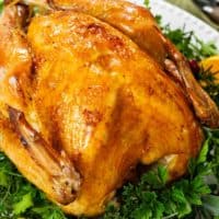 A roast turkey on a platter with greens.